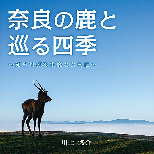 書籍『奈良の鹿と巡る四季』の表紙