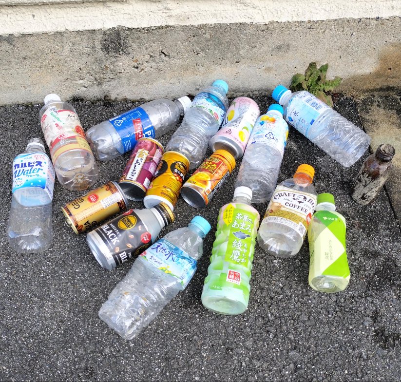参加者で回収した奈良公園にポイ捨てされたペットボトルと空き缶。